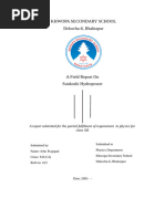 PDF Document