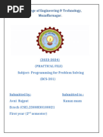 PDF Document