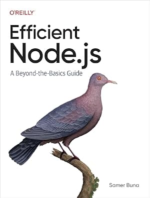 Book cover Efficient Node.js: A Beyond-the-Basics Guide