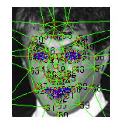 67-fiducial-points