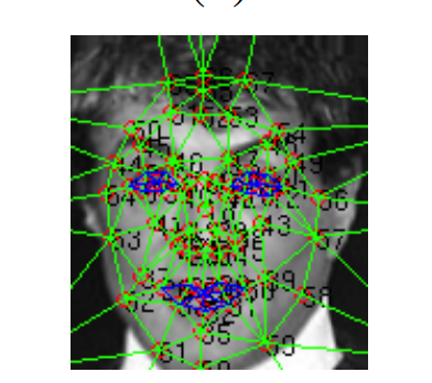 67 ficudial point mapping on 2d_3D affine face.