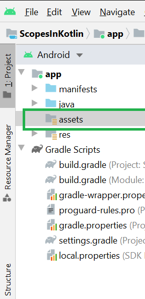 assets folder