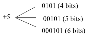 Signed extension for +5