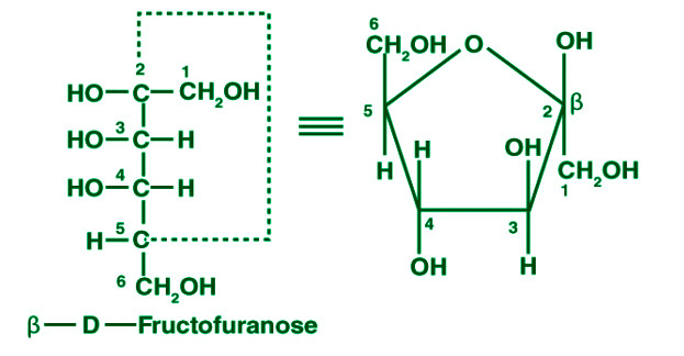 Classification of Carbohydrates - Fructose