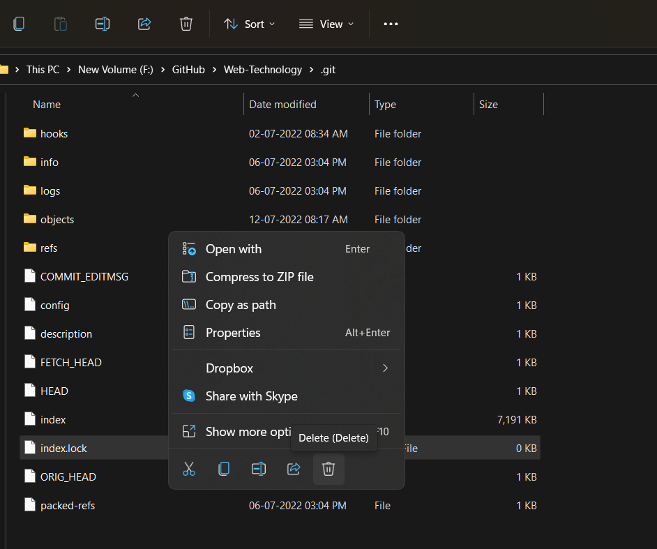 delete the inde x.lock.