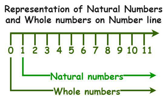 representation of whole numbers