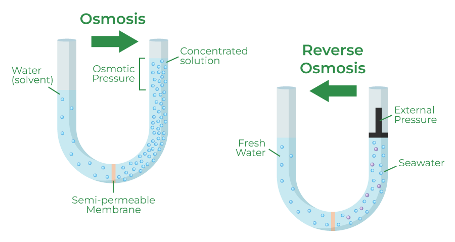 Osmosis and Reverse Osmosis