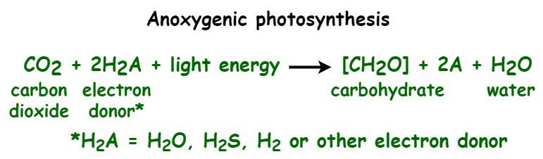 Anoxygenic Photosynthesis