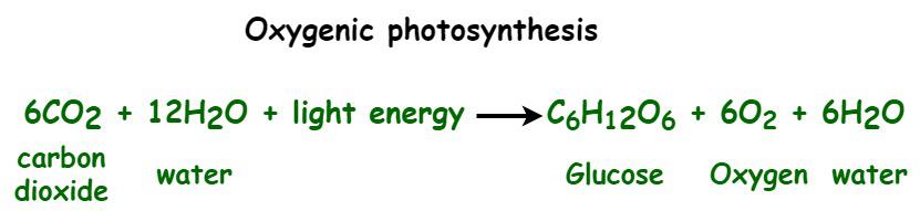Oxygenic Photosynthesis