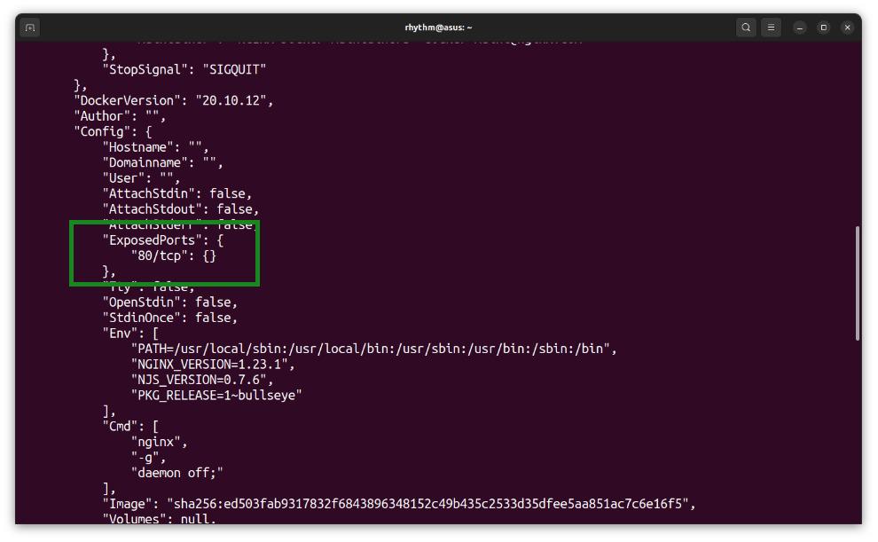 Docker Inspect Nginx