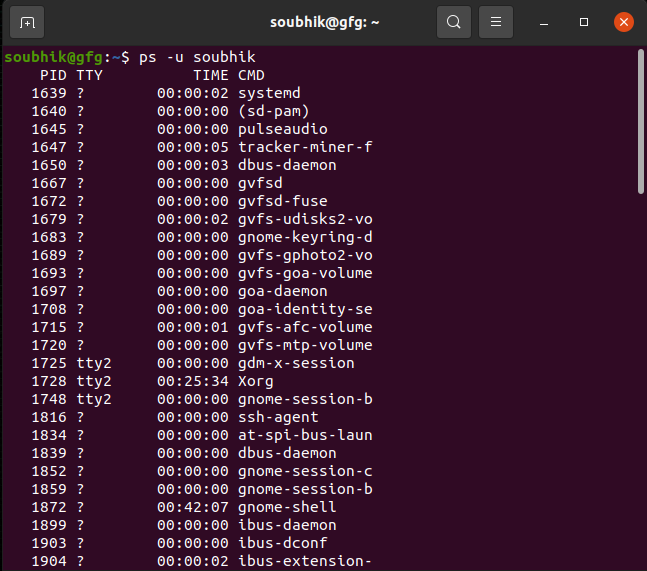 Listing all processes and their PIDs started by user Soubhik account