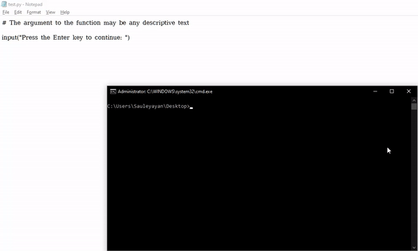 How to make a python script wait for a pressed key?