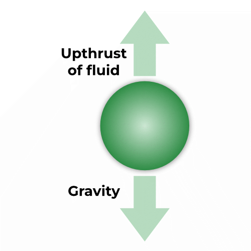 demonstration of buoyant force