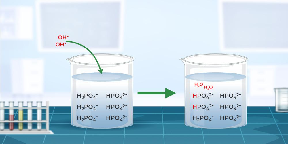 Basic or Alkaline Buffers