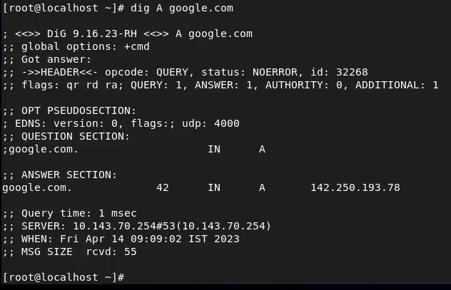 dig A google.com