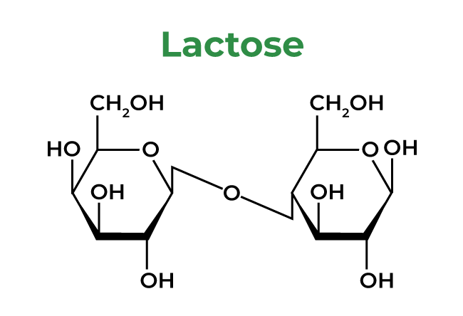 Lactose