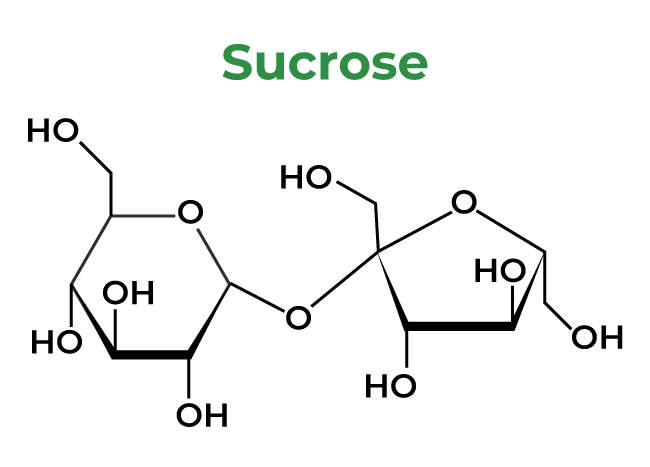 Sucrose