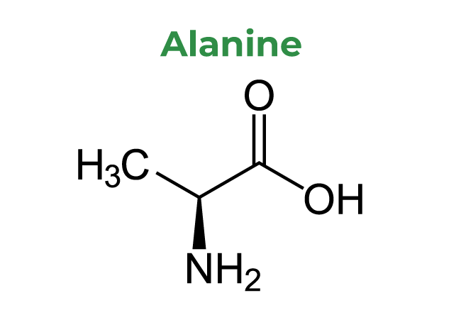 Alanine