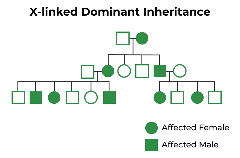 X-linked Dominant Inheritance