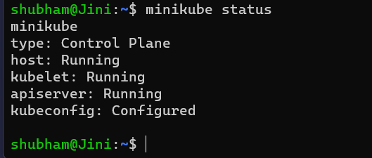 minikube status