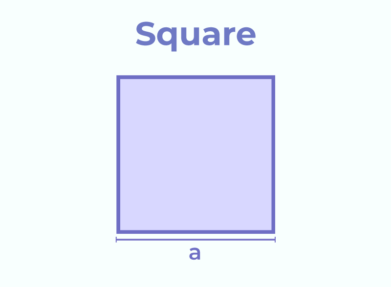 Area and Perimeter of Square