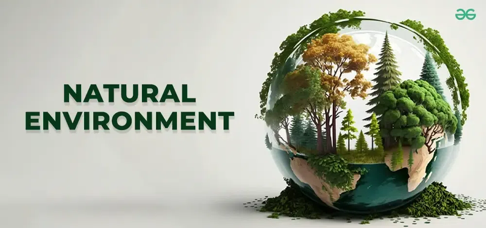 Natural-Environment