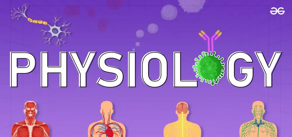 Physiology
