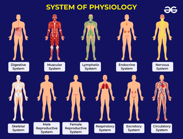 Branches-of-Physiology