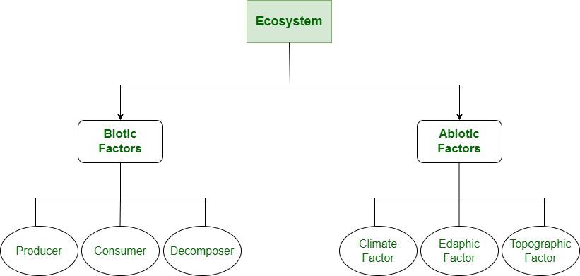 Ecosystem