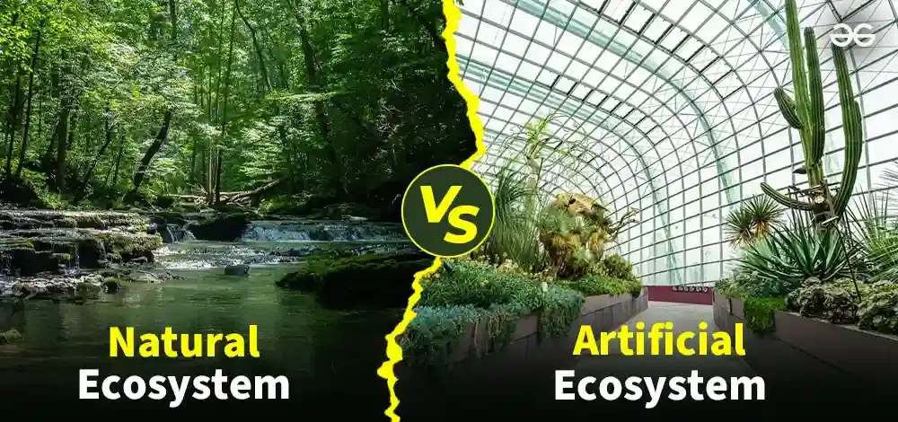 Natural-Ecosystem