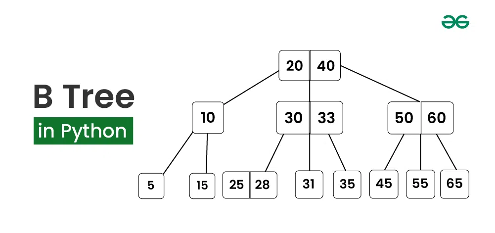 B Tree in Python