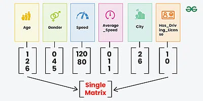 Single-Vector-containing-different-feature--values