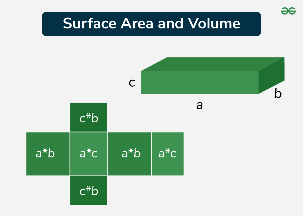 Surface-Area-and-Volume-1