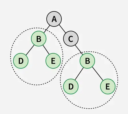check-if-a-binary-tree-contains-duplicate-subtrees-of-size-2-or-more-2