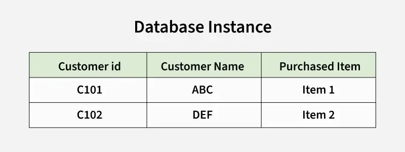 database_instance