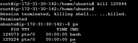 kill-command