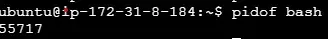 pidof