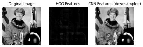 cnnhog