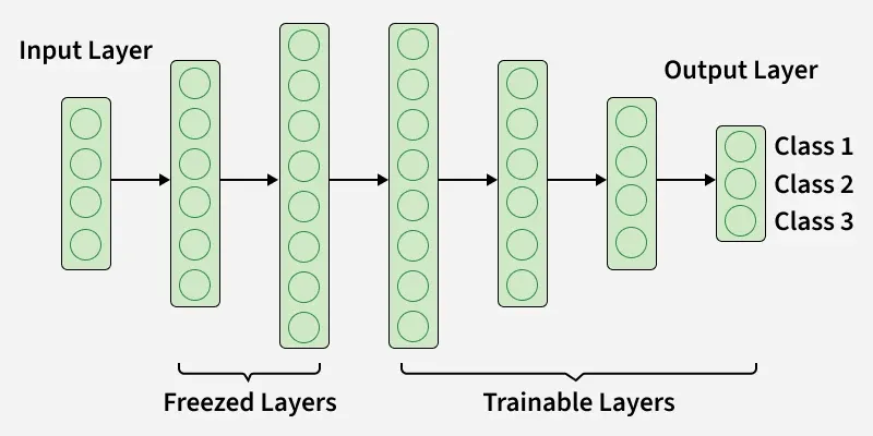 input_layer