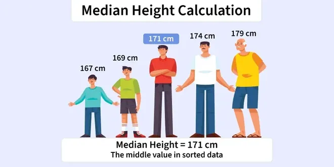 median_height_calcuration