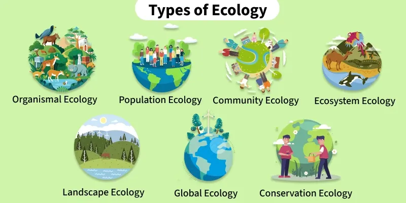 Ecosystem