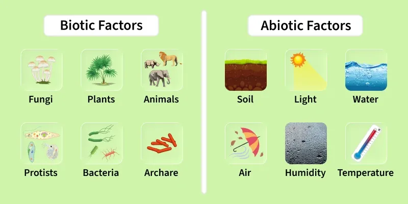 factors-1