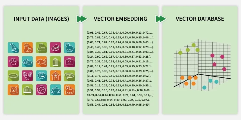 vector_db