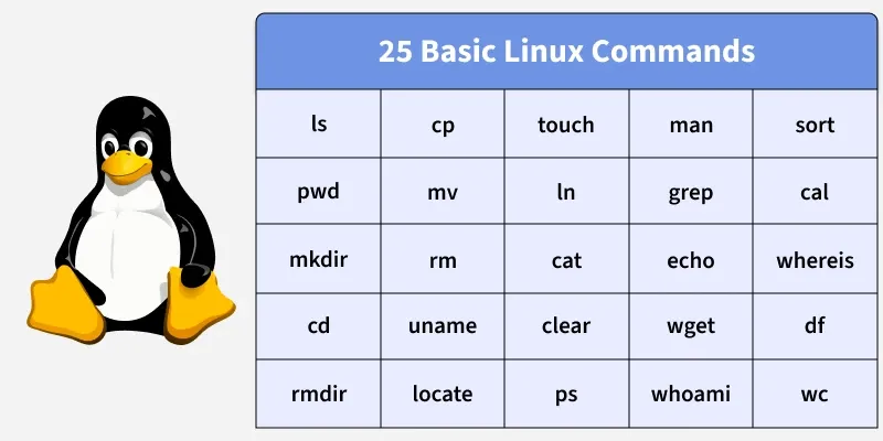 25_basic_linux_commands