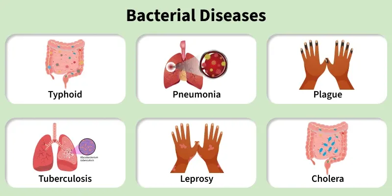 bacterial_diseases