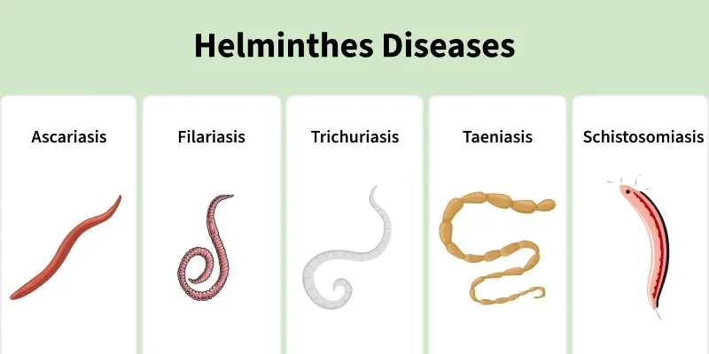 helminthes_diseases