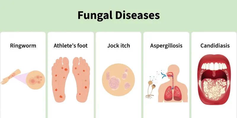fungal_diseases