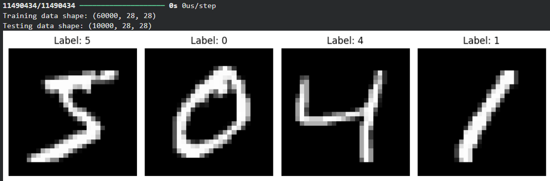 mnist