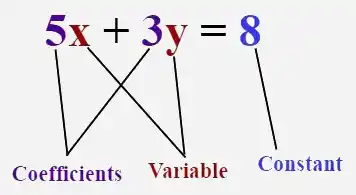 Coefficient