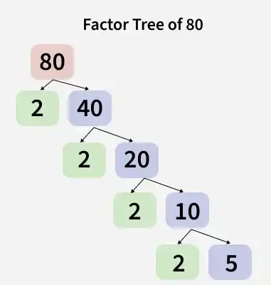 factor_tree_of_80